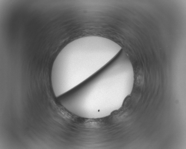 X0000075860620200609291549