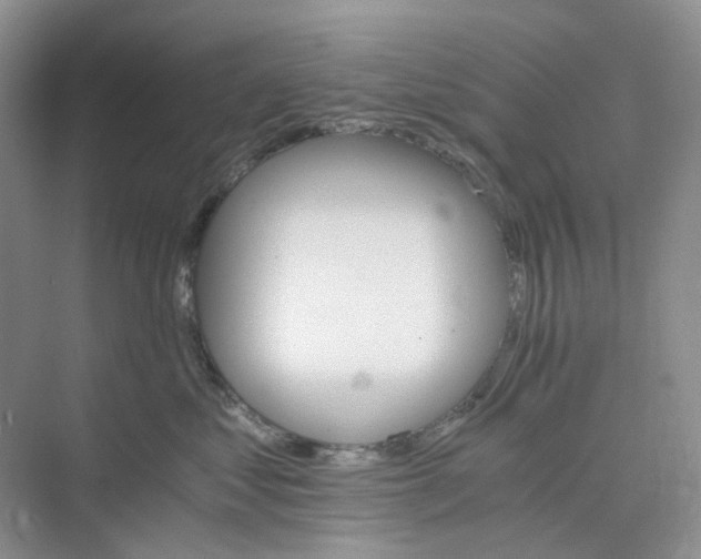 X0000075860621200609291549