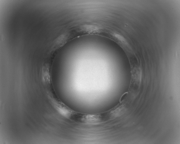 X0000075860622200609291549