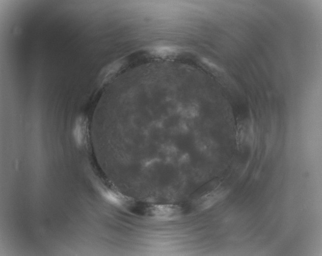 X0000075860623200609291549