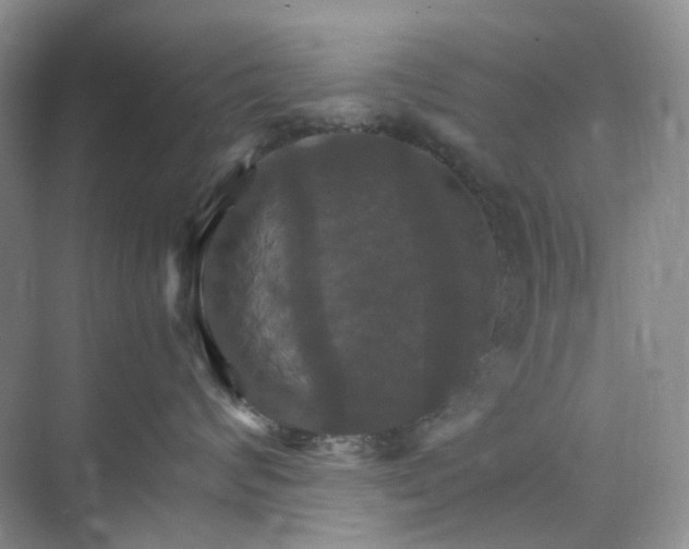 X0000075860624200609291549