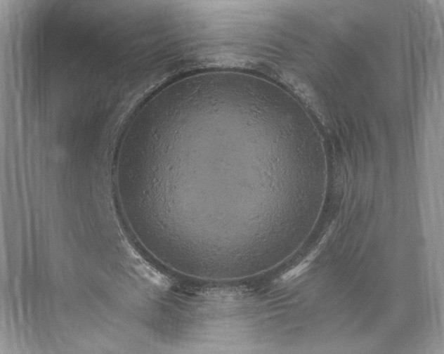 X0000075860625200609291549