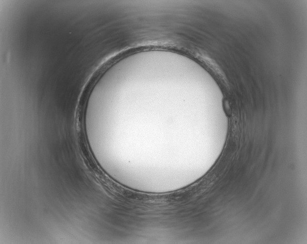 X0000075860628200609291549