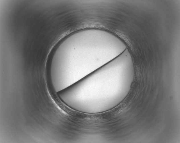 X0000075860630200609291549