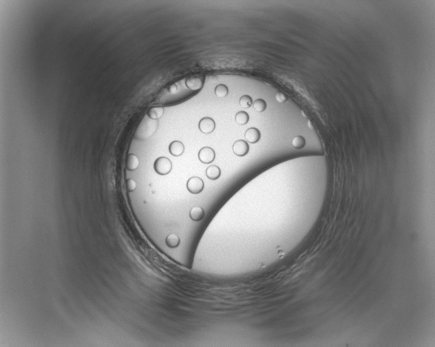 X0000075860631200609291549