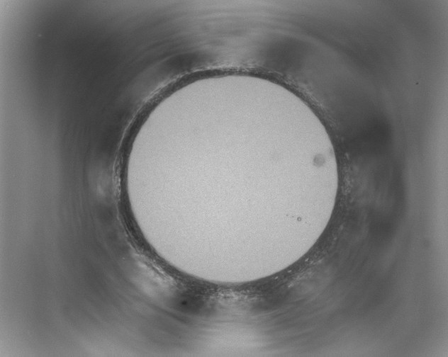 X0000075860632200609291549