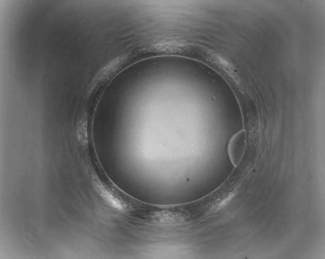 X0000075860633200609291549