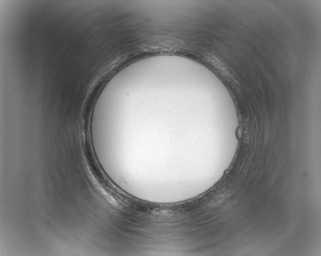 X0000075860634200609291549