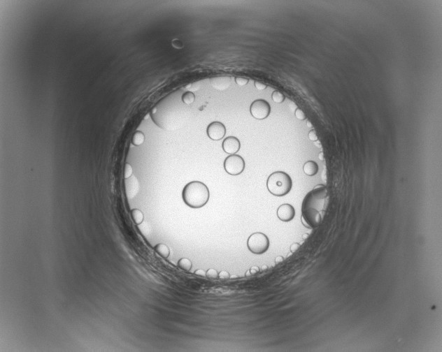 X0000075860635200609291549