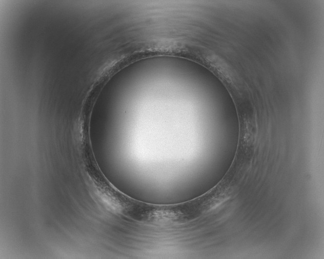 X0000075860636200609291549