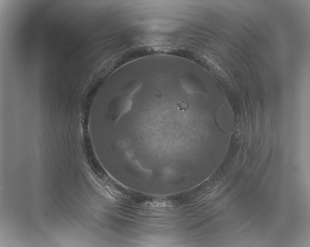 X0000075860639200609291549