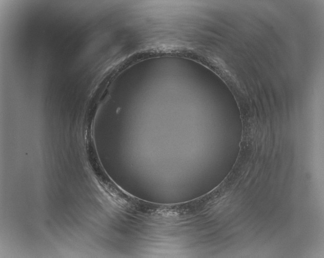 X0000075860640200609291549