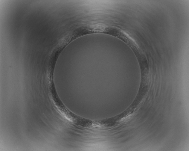 X0000075860641200609291549