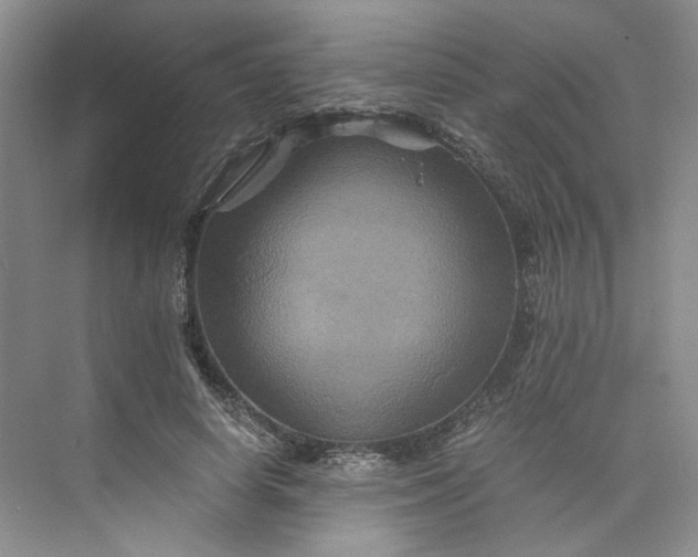 X0000075860642200609291549