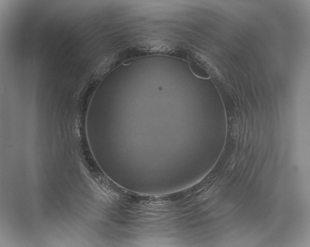 X0000075860643200609291549