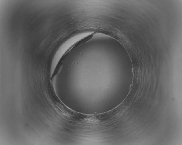 X0000075860644200609291549