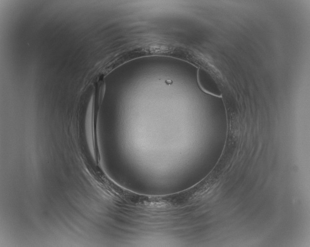 X0000075860645200609291549