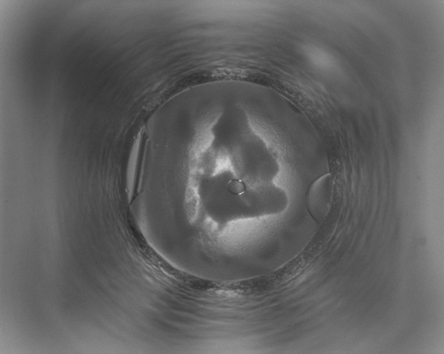 X0000075860649200609291549