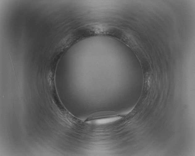 X0000075860650200609291549