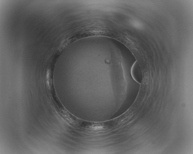 X0000075860651200609291549