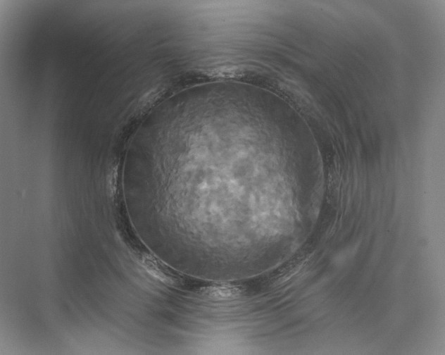 X0000075860652200609291549