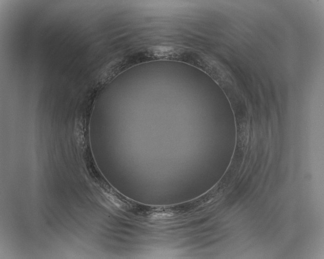 X0000075860653200609291549