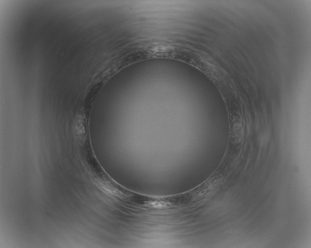 X0000075860654200609291549