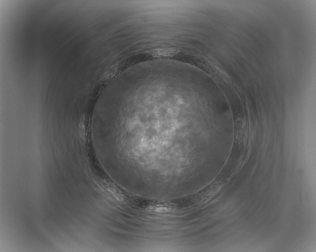 X0000075860655200609291549