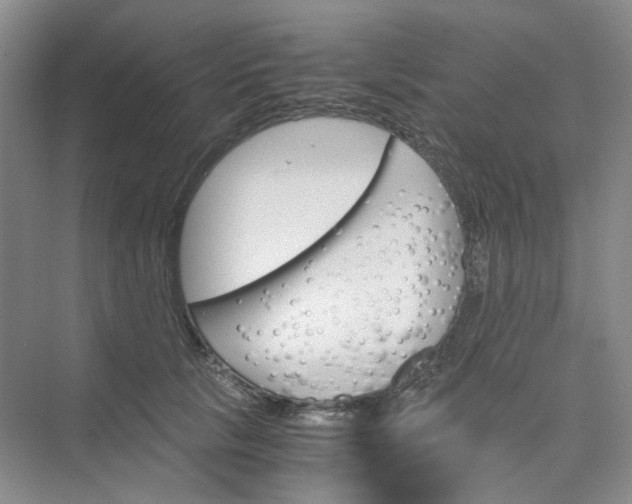 X0000075860657200609291549