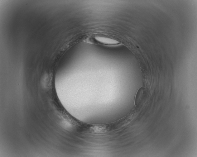 X0000075860660200609291549