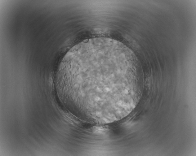 X0000075860662200609291549