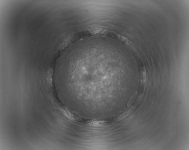 X0000075860664200609291549