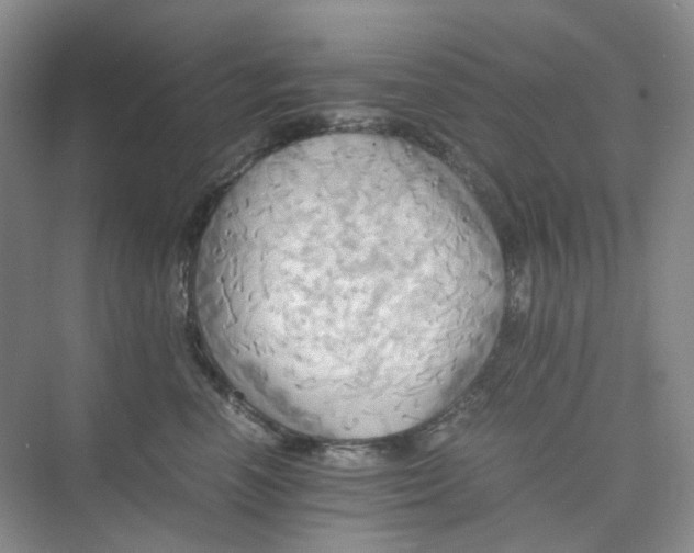 X0000075860666200609291549