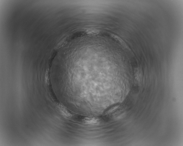 X0000075860667200609291549