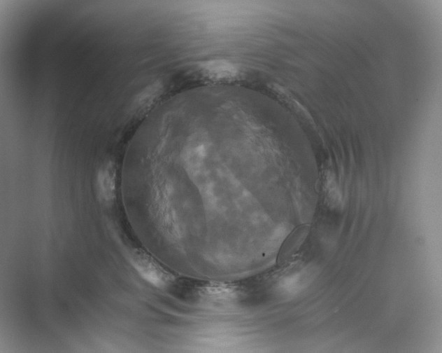 X0000075860668200609291549