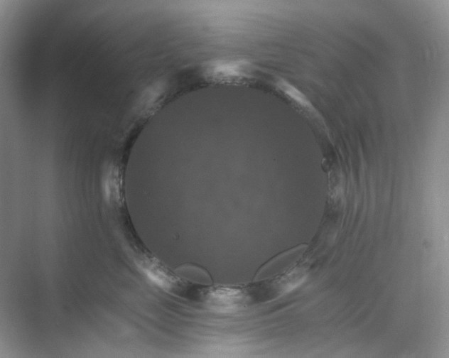 X0000075860669200609291549