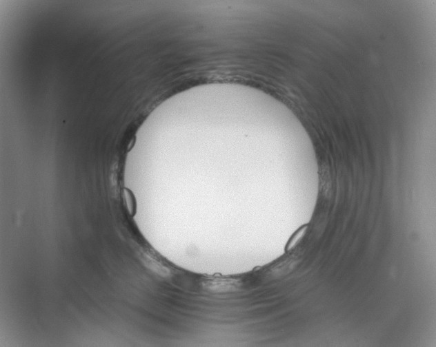 X0000075860670200609291549