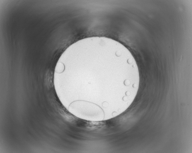 X0000075860672200609291549