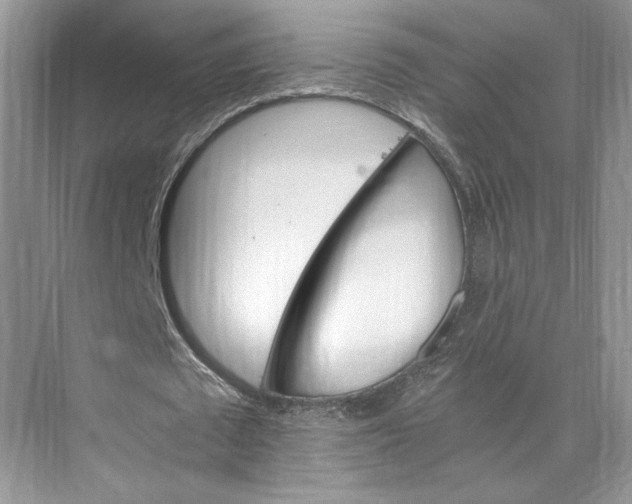 X0000075860673200609291548