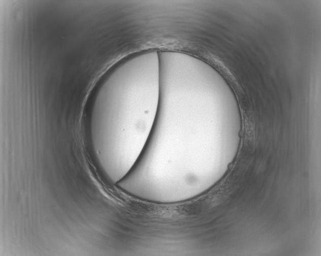 X0000075860674200609291548