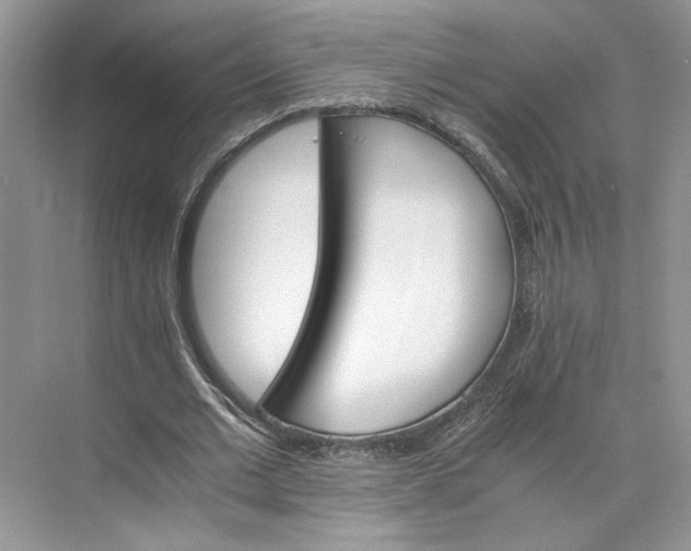 X0000075860677200609291548