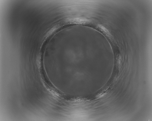 X0000075860679200609291548