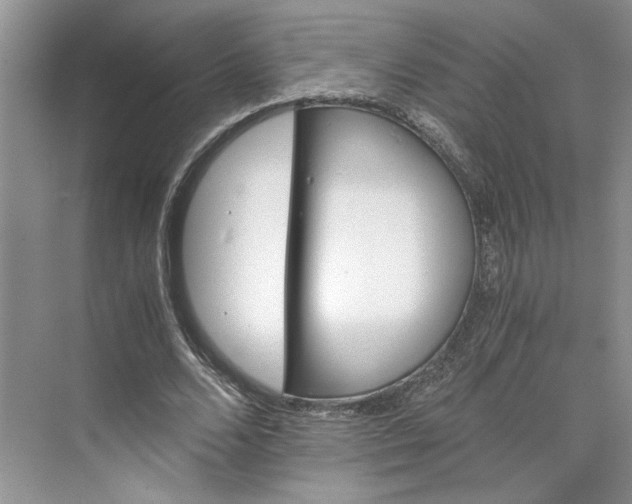 X0000075860680200609291548