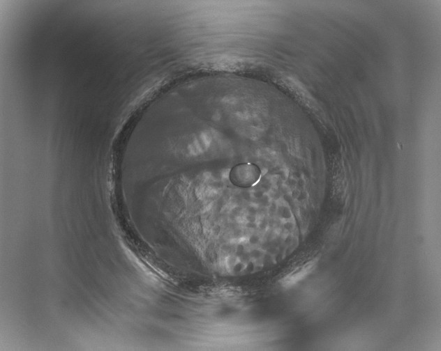 X0000075860683200609291548