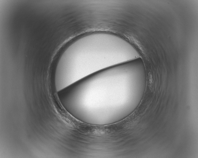 X0000075860684200609291548