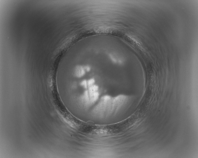 X0000075860687200609291548