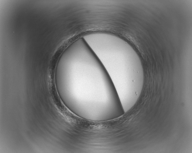 X0000075860688200609291548