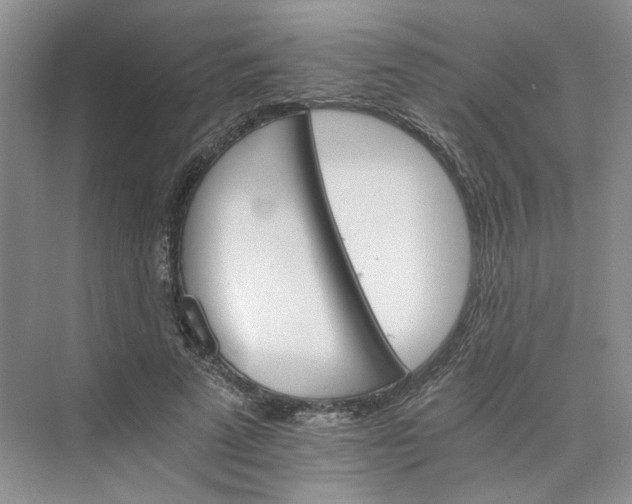 X0000075860689200609291548