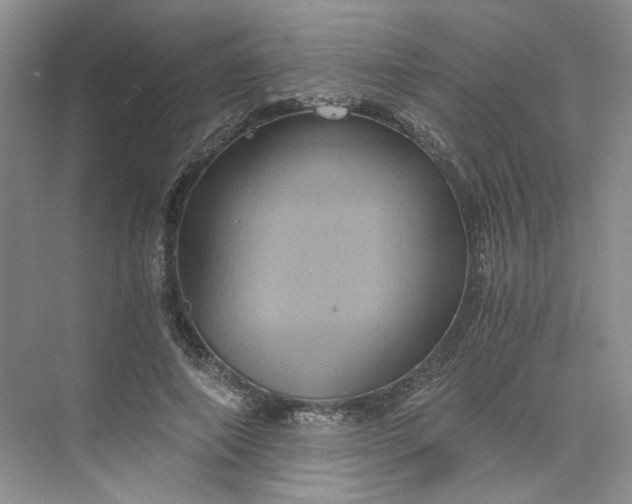 X0000075860690200609291548