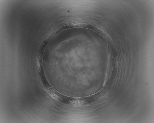 X0000075860691200609291548